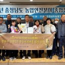 팔봉면 티스토리