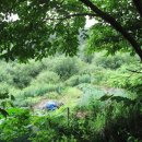 설악농장 이미지