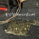 행복 낚시터 | 용인놀거리데이트 &amp; 아이랑 갈만한 곳 추천 | 용인실내바다낚시터