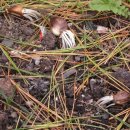 우도농장 이미지