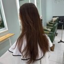 살롱엘(salon L)