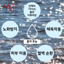 독일피엠 이미지