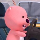 그린뷰티 이미지