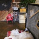 와인주막차차 압구정점 이미지