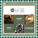 인셀덤강남중앙대리점 이미지
