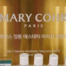 네일 피닉스 이미지