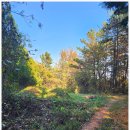 미암면사무소 이미지