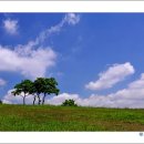 태화목장 이미지