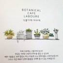 라부헤 이미지