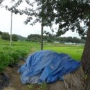 성하리마을회관 이미지