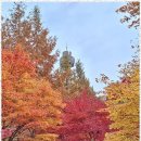 희망 행정사 사무소 이미지