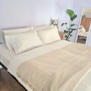 힐링캠프 민박 이미지