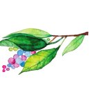 우민농장 이미지