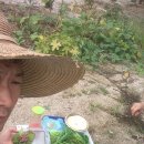꿀맛 이미지