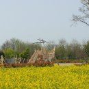 황룡친수공원 이미지