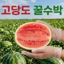 로얄상회 쇼핑하우