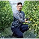 대저토마토산지유통센터 이미지