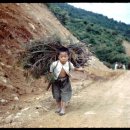 지게울 Daum카페