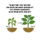대유아그로 이미지