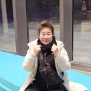 종달리 생개납 돈짓당 이미지