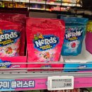 클러스터 | 너즈 구미 클러스터 레인보우 후기 (페라라)
