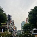 구대회현미경치과의원 네이버블로그