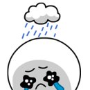 대조점기아오토큐 이미지