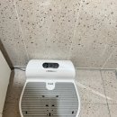 털털한그녀
