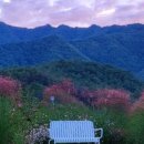 대정연가 이미지