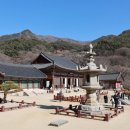 참사랑도서 네이버블로그