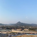 병천 유황오리 이미지