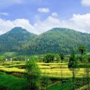 삼국산업 이미지