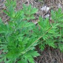 아버지농장 이미지