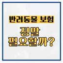 KB동물병원(출장진료전문) | 반려동물 보험, 정말 필요할까?