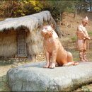 주천면-3(의호총) 이미지