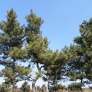 삼보농원 이미지