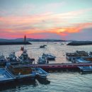 동백해비치펜션 이미지