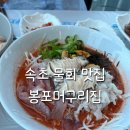 속초 물회맛집 봉포머구리집 솔직후기