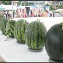 덕산1태양광 이미지