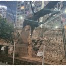 매화길 | 동두천신점 고민 해결의 명쾌한 길을 찾다 매화신궁 후기