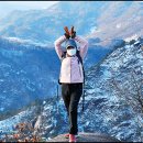 자드락민박 이미지