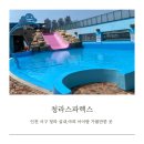 스파렉스21 이미지