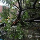 고목경로당 이미지