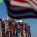 Ogu Ogu Dog 이미지