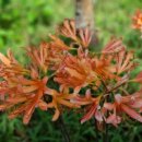 자연해나어린이집 이미지