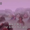 메리메리줄리