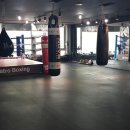 앨바트로 복싱 이미지