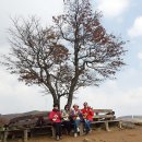 에코목장 이미지