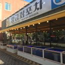 황금바다회포차