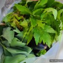 불암농장 이미지